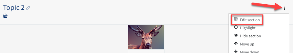 An image of the edit section button